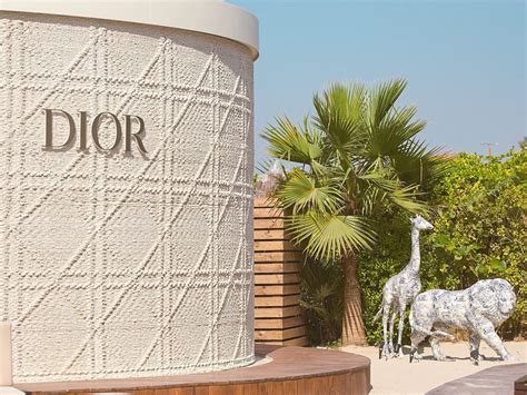 Dior wares Dubai